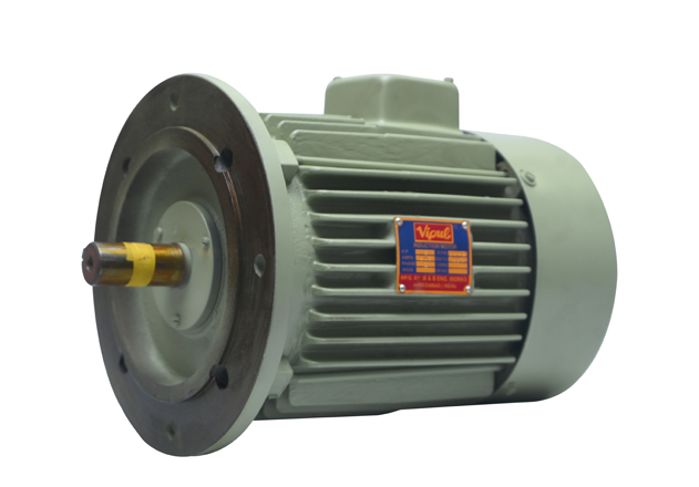 Flange Mounted Motors